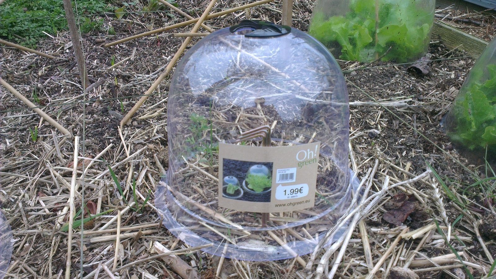 Nouvelle petite serre sur carré de potager l'oasis de vignamont