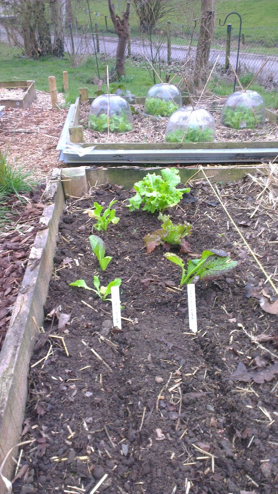 Nouvelle petite serre sur carré de potager l'oasis de vignamont