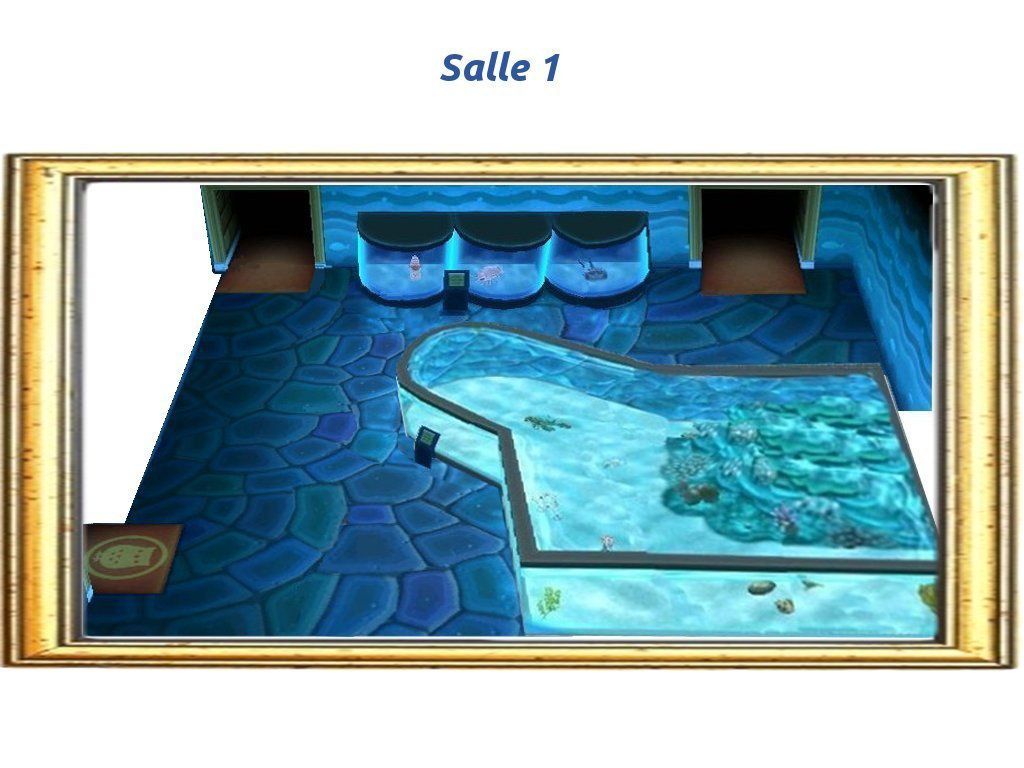Le plan du Musée (section poissons) : - Animal Crossing New Leaf