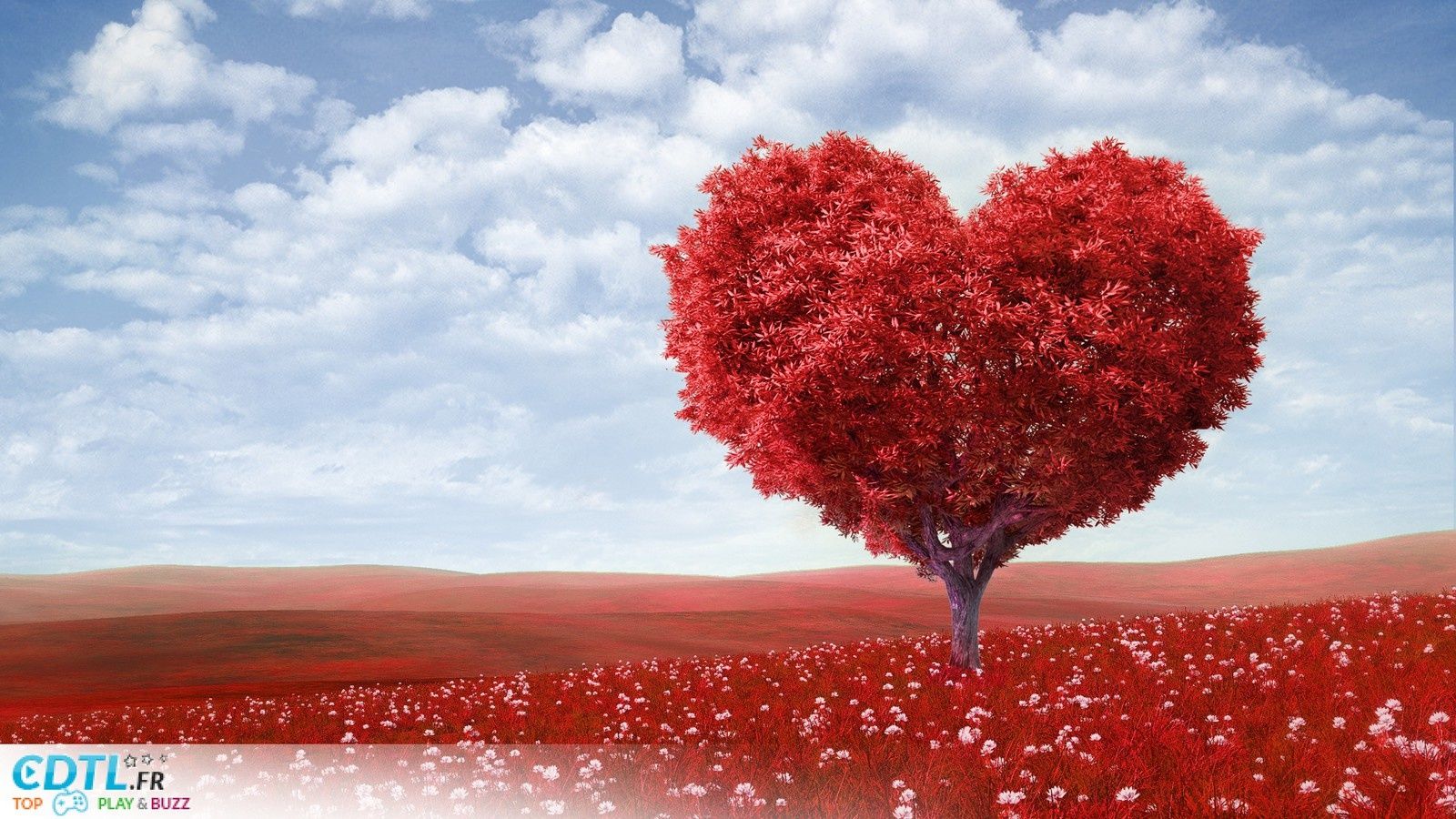 Flirter avec l'amour