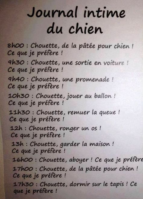 Texte sur une rencontre amoureuse
