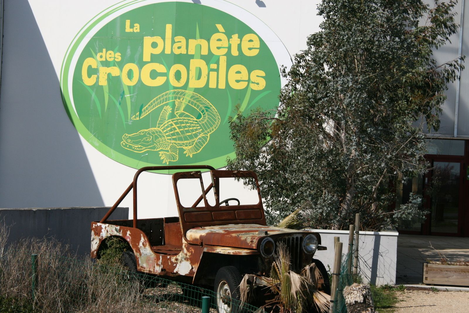 LA DES CROCODILES les draults location la roche posay gite curiste futuroscope