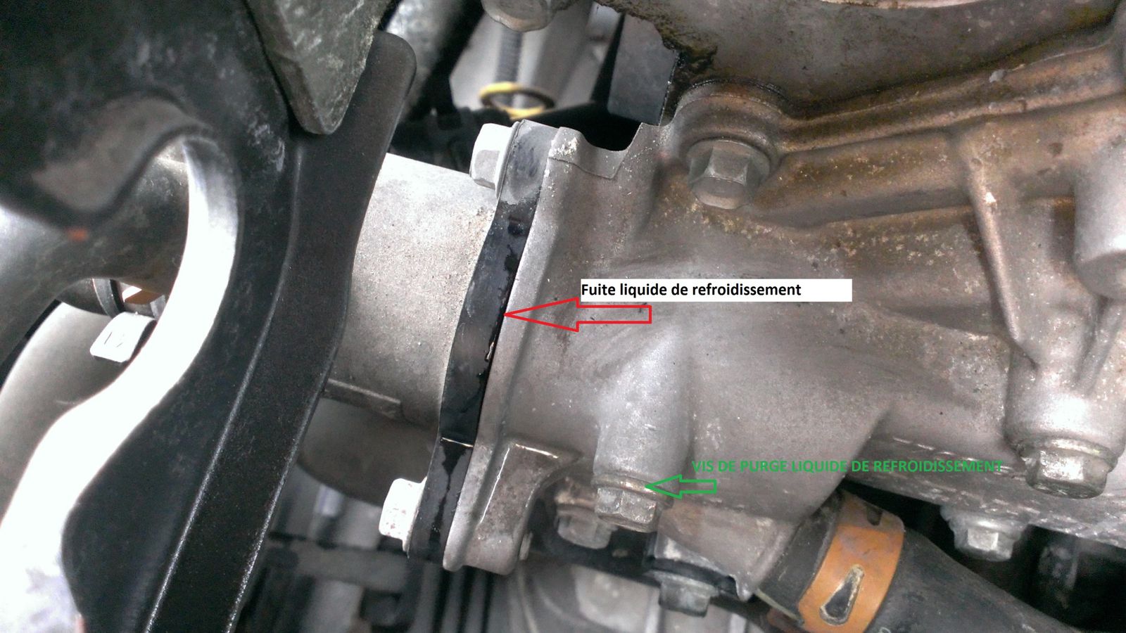 Liquide de refroidissement qui coule sous le moteur