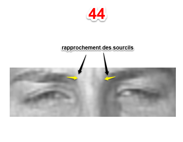 Facial action coding system manual