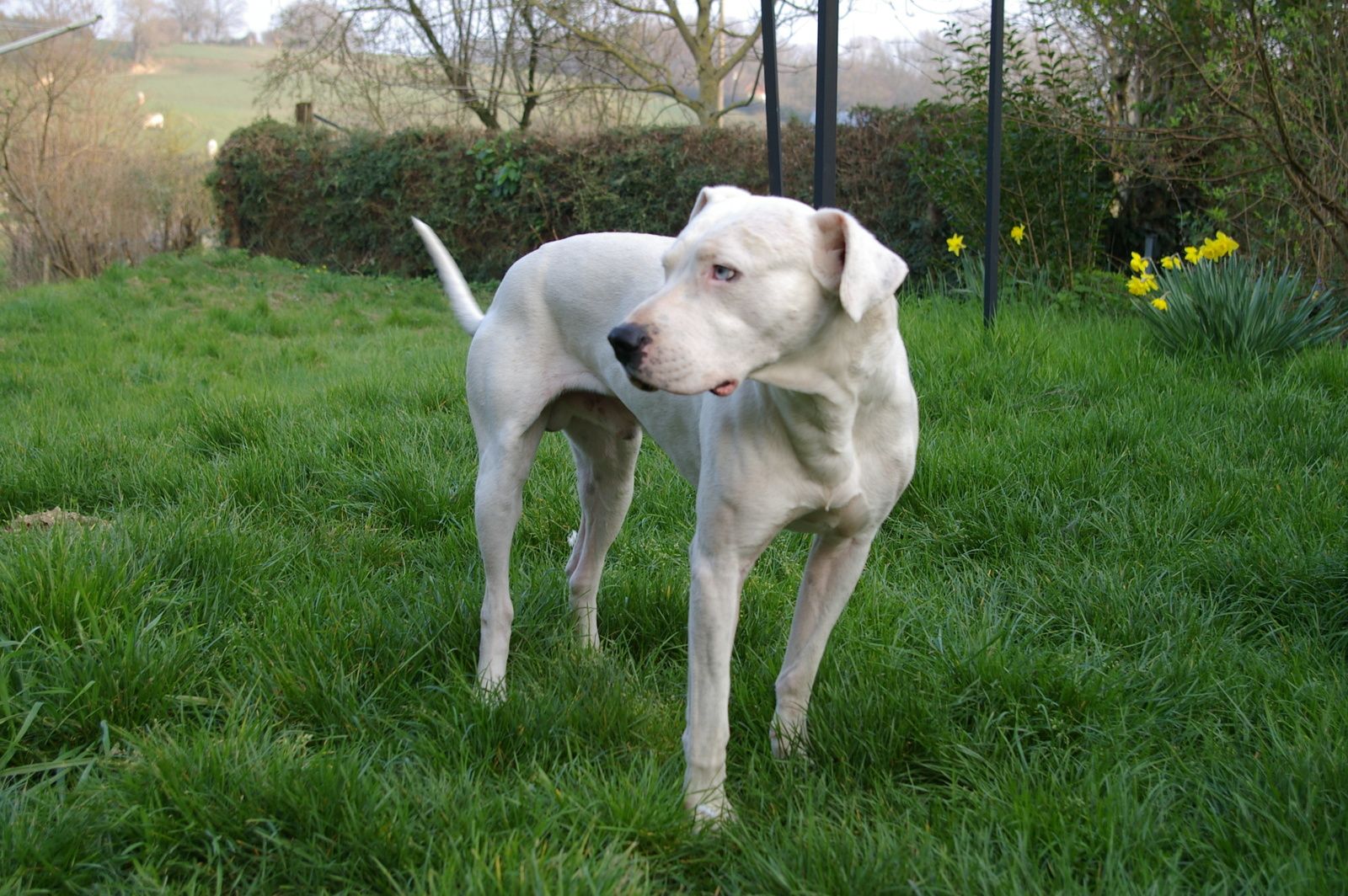 rencontre zeus europe