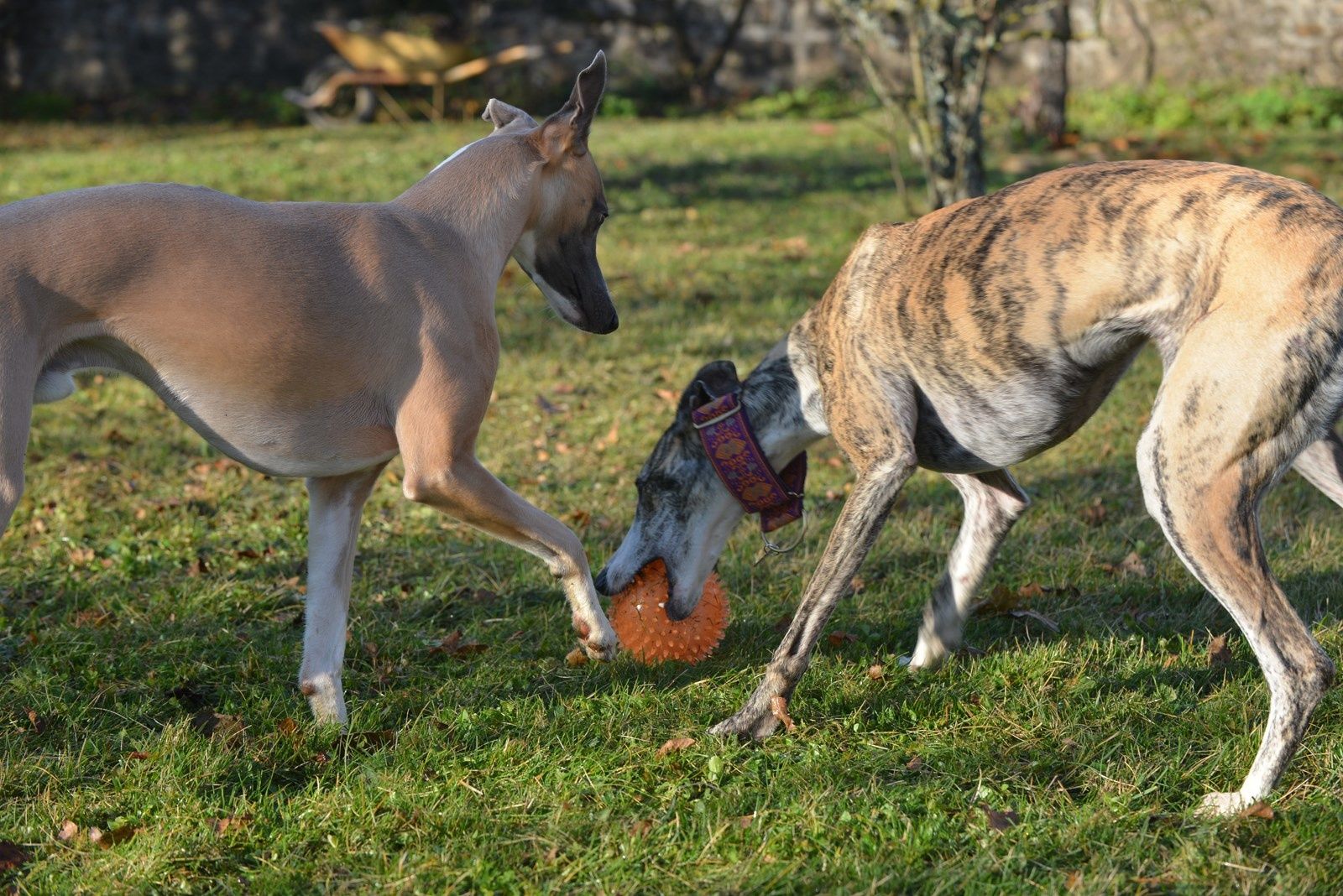 de vous avoir rencontrés