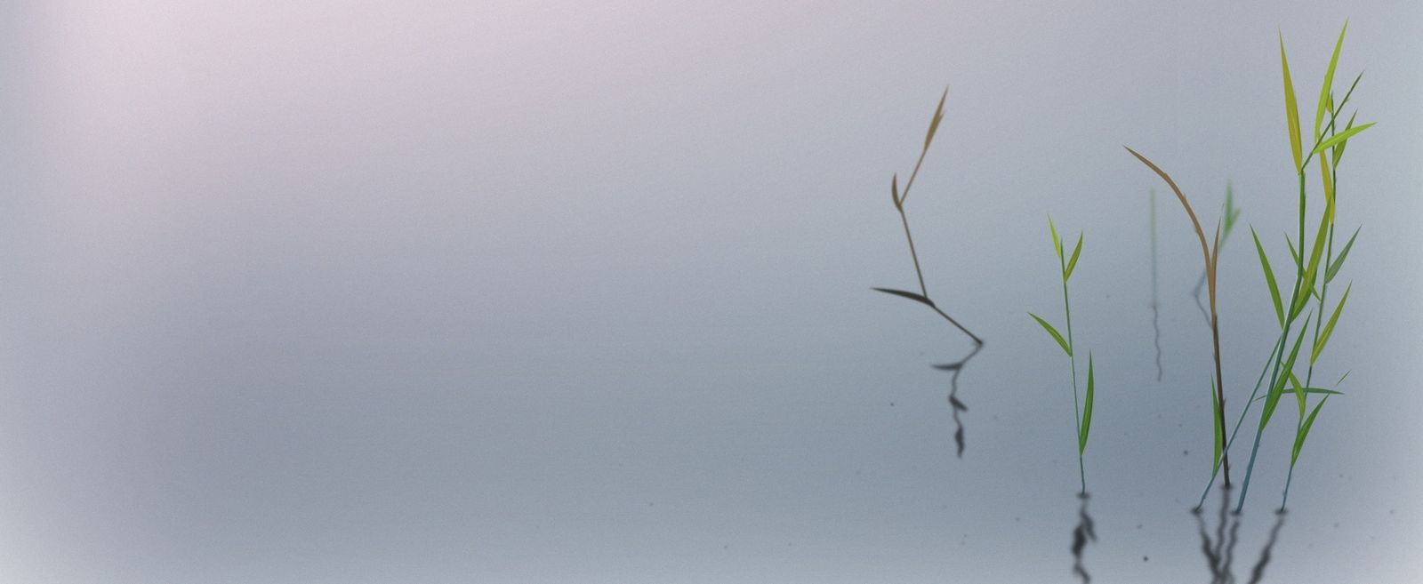 Lancement de Biotée le 5 septembre 2013 !