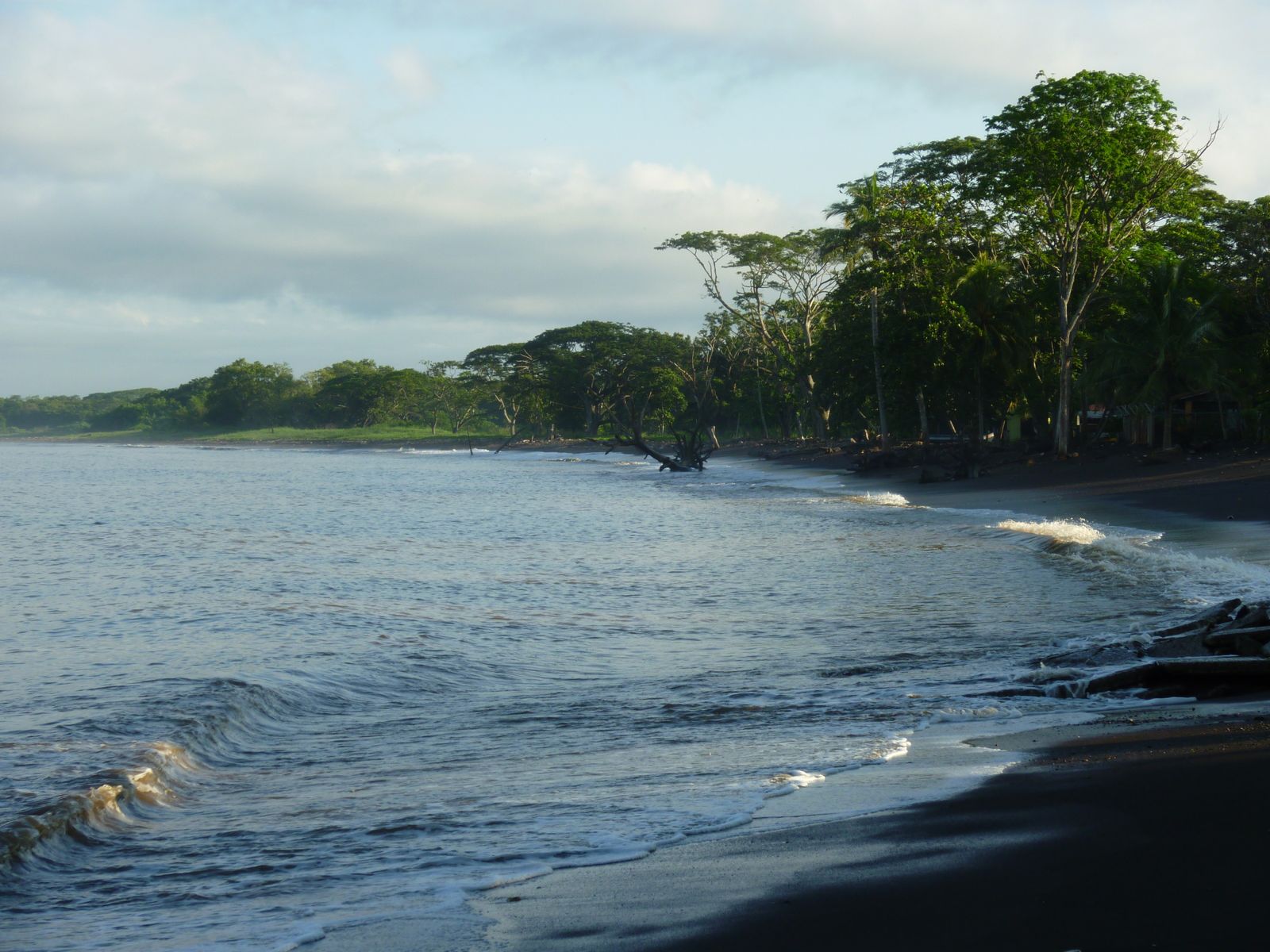 marcher dans une benne à ordure géante). En voyant un bout de bois 