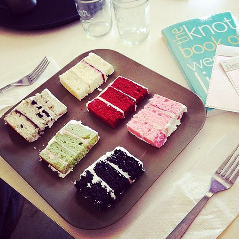 CAKE TESTING Little Plastic Horses
