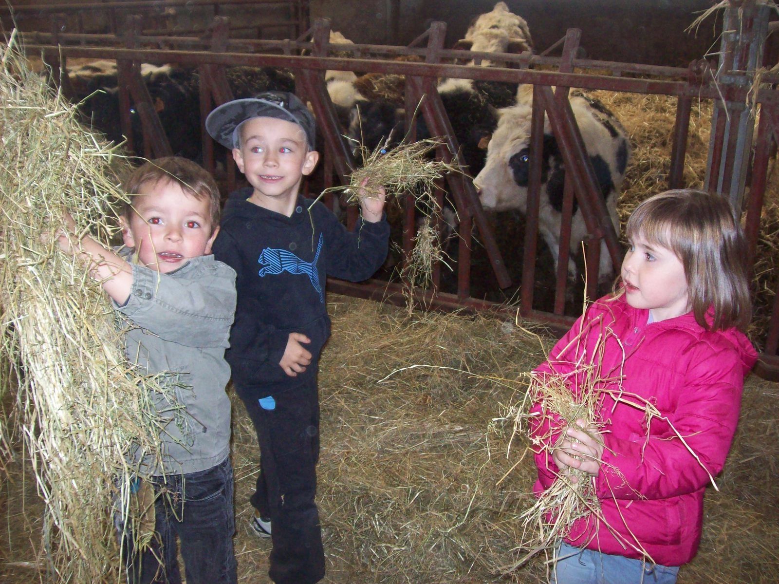 rencontre froideconche