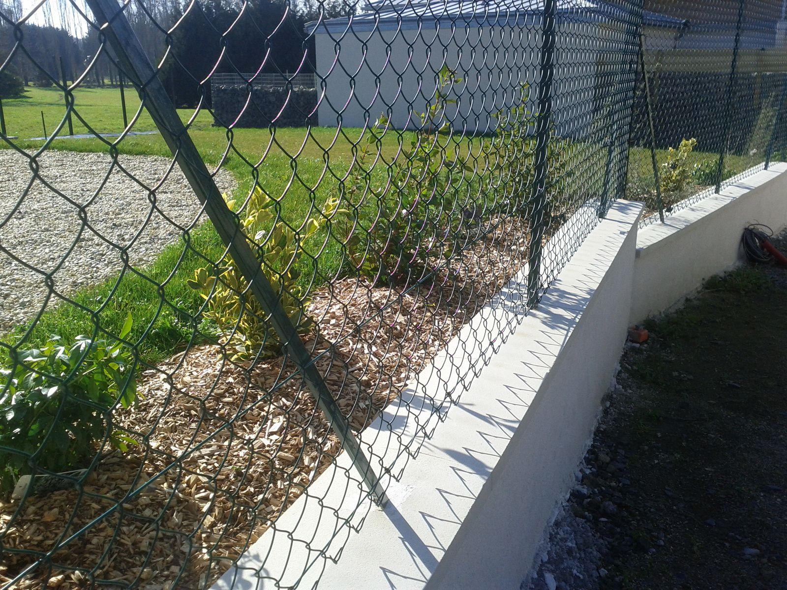 Muret enduit et clôture grillagée - Reflets Jardins