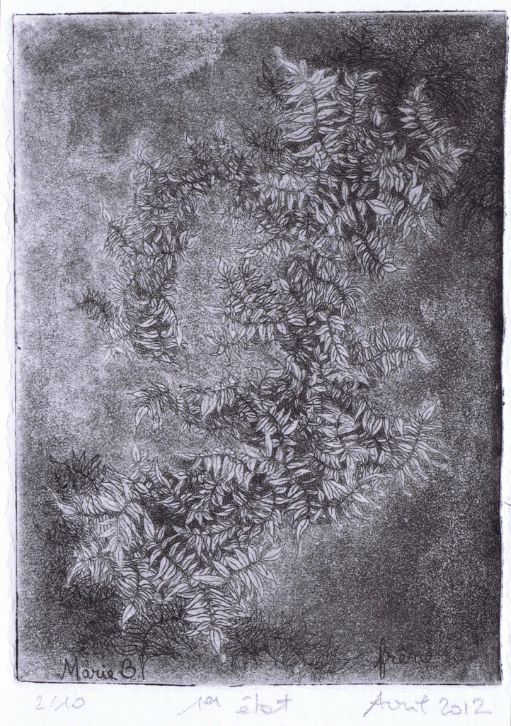 Exposition Marie Besche