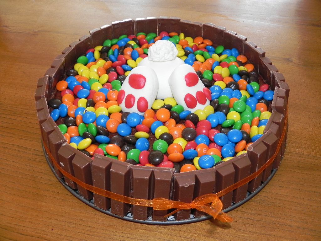 Gâteau au chocolat cake design décoration pâque et lapin pour