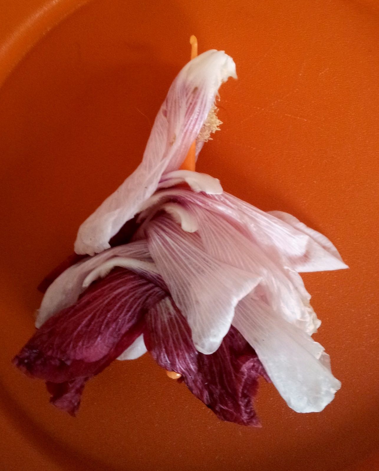 Construction véranda valais Construction véranda valais