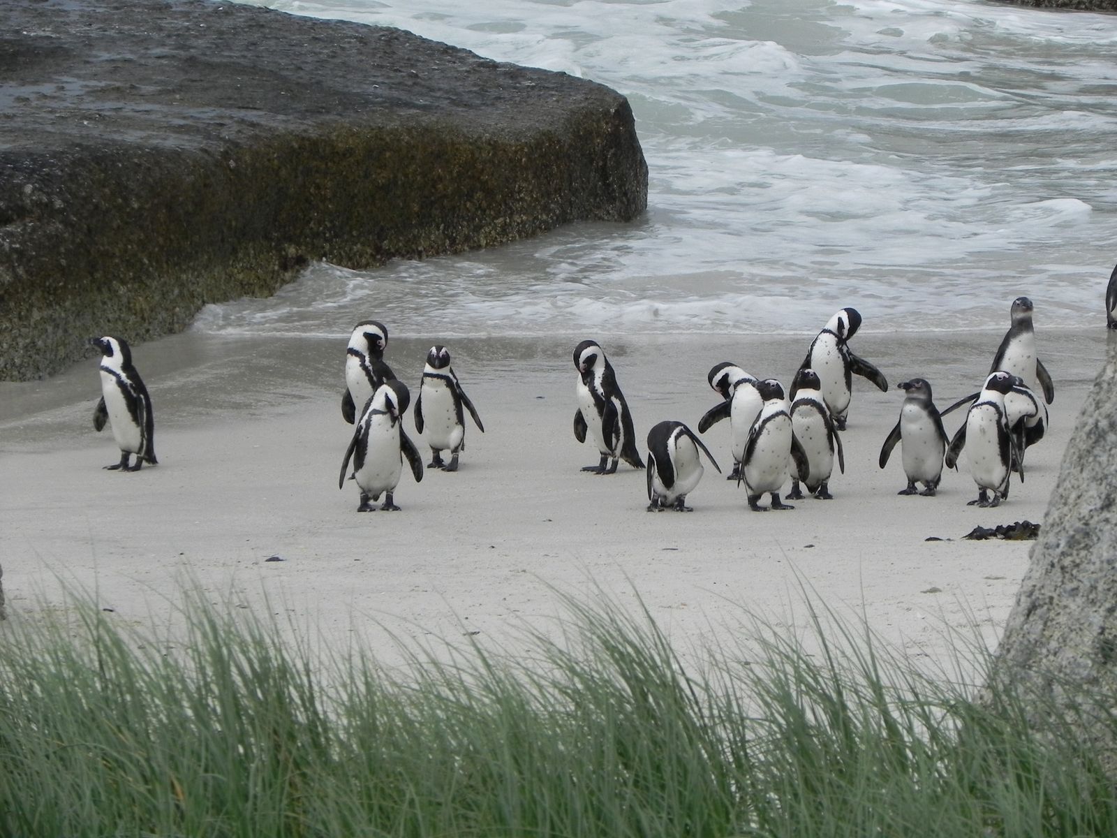 Rencontre entre ocean indien et atlantique