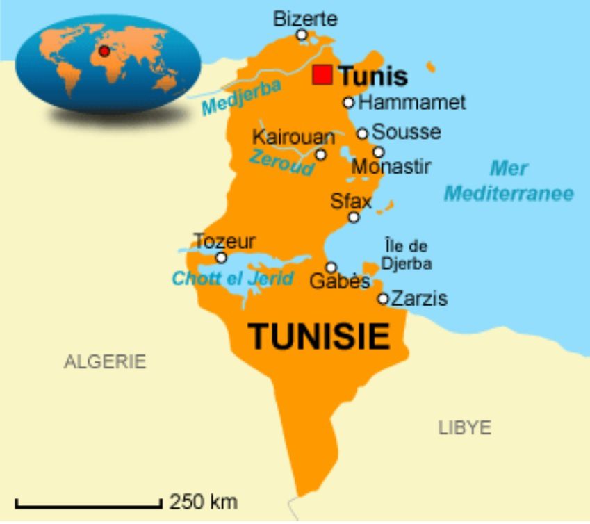 Tunis, ville à vendre? Trois ans après la révolution tunisienne, les affairistes, le patronat ont repris contrôle de la scène politique (Solidarité internationale)