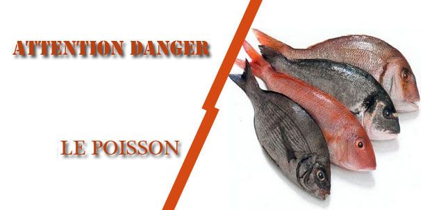Attention Danger: Choisissez le bon Poisson