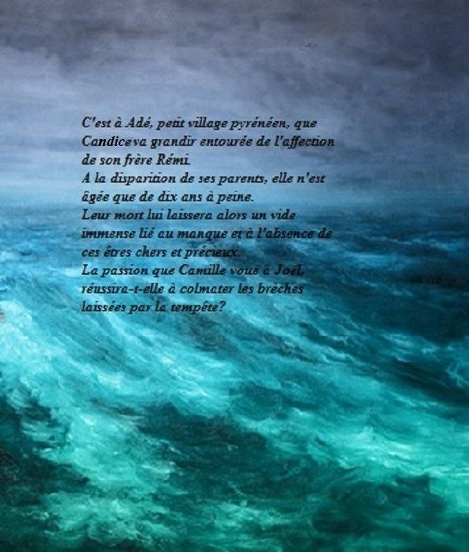 Roman : "Au cœur de la tempête" (1)