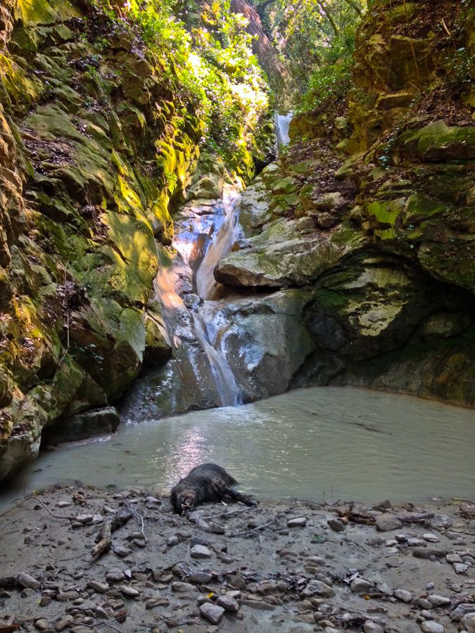 Canyon des Hirondelles