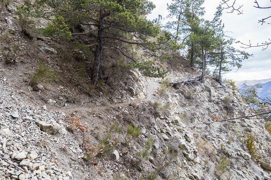 Première randonnée pour Lubie depuis Bairols
