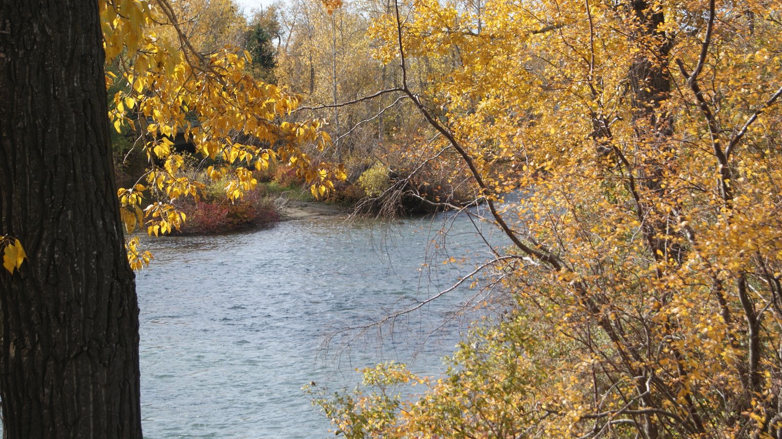 A la découverte du quartier Francophone de Calgary "Rouleauville" Le