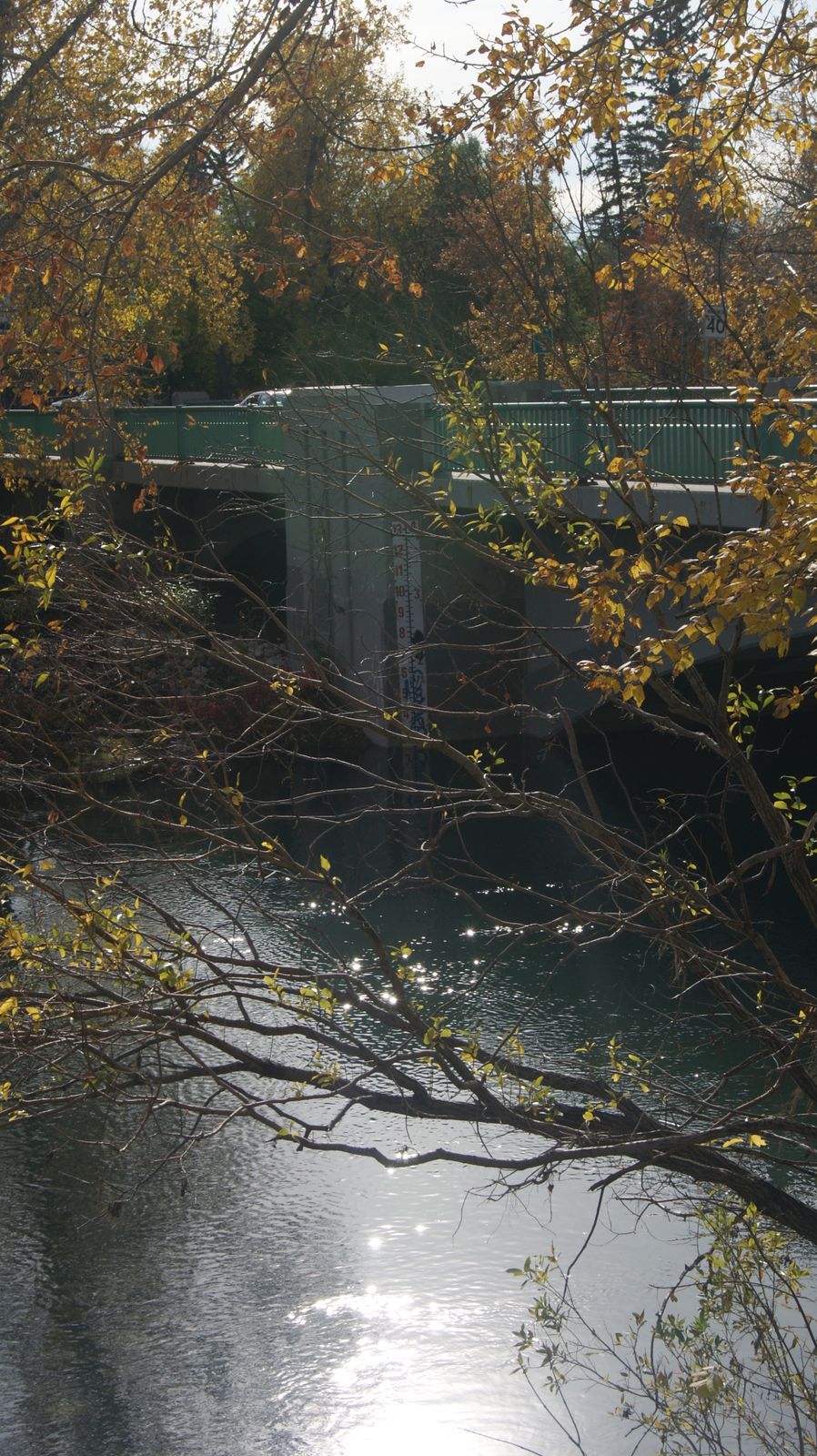 A la découverte du quartier Francophone de Calgary "Rouleauville" Le