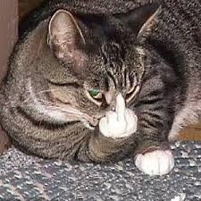 Afficher l'image d'origine