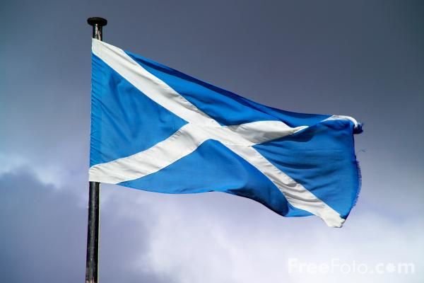 Picture of The Scottish Flag - Free Pictures - FreeFoto.com