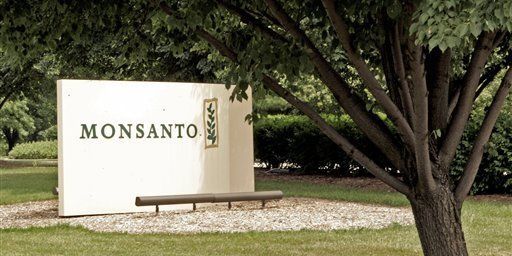 Ancien géant de la chimie, Monsanto est aujourd'hui le leader mondial des OGM et l'un des premiers semenciers de la planète. | ASSOCIATED PRESS/JAMES A. FINLEY Ancien géant de la chimie, Monsanto est aujourd'hui le leader mondial des OGM et l'un des premiers semenciers de la planète.