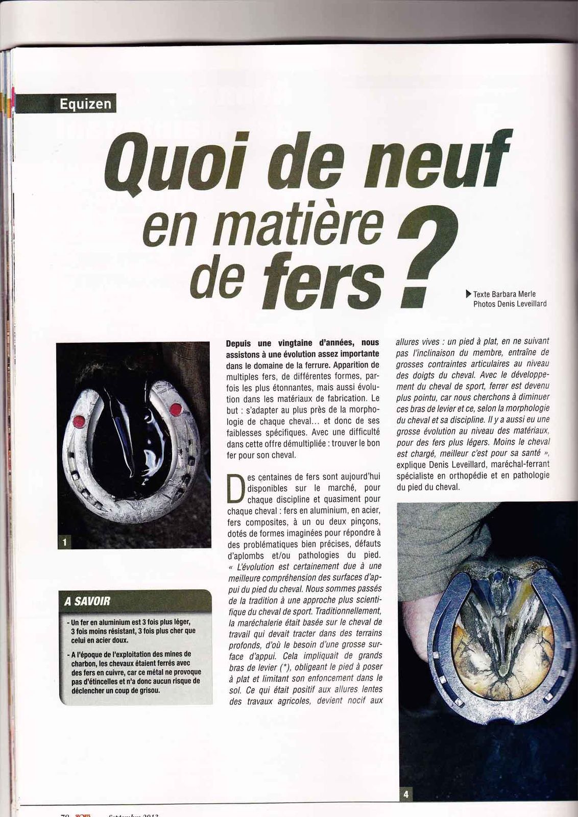 Quoi de neuf en matière de fers ? Sports Equestres - Le blog pro