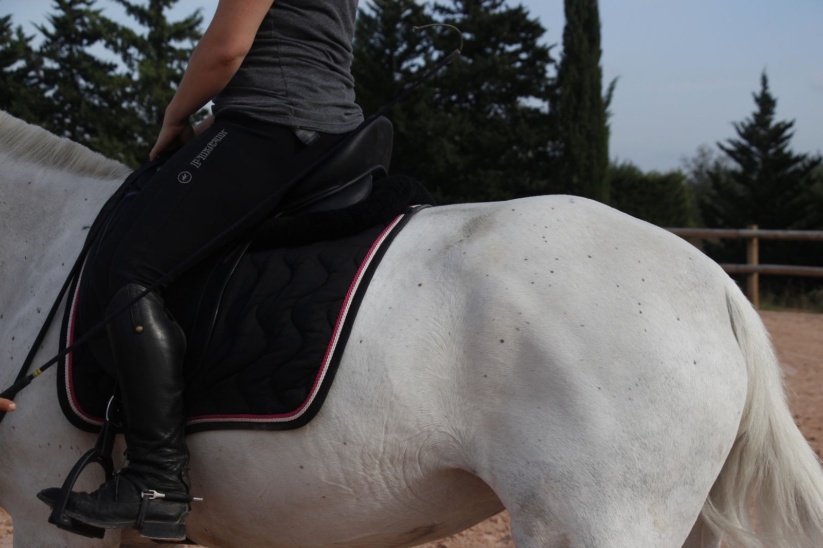 Les dorsalgies dans Sports Equestres de novembre - Le blog pro de