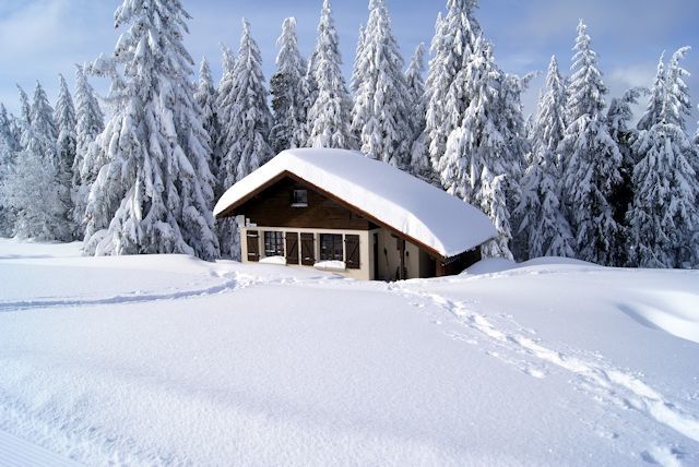 paysage de neige, dans les Vosges