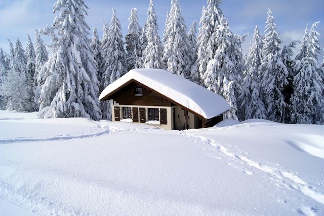 paysage de neige, dans les Vosges paysage de neige, dans les Vosges
