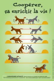 Jeux coopératifs des idées