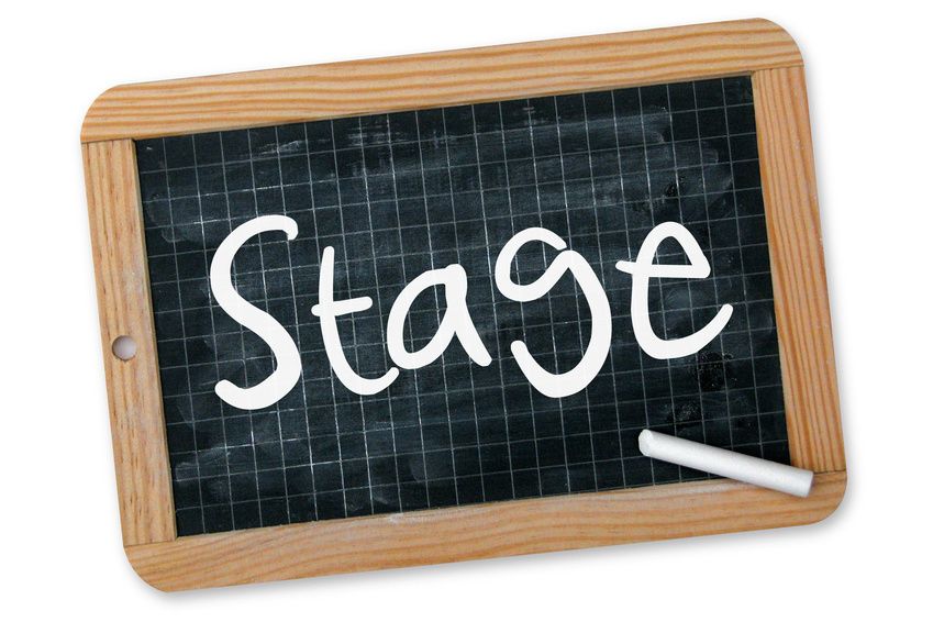 Etapes clefs du déroulement de stage Alliance Management et Enseignement