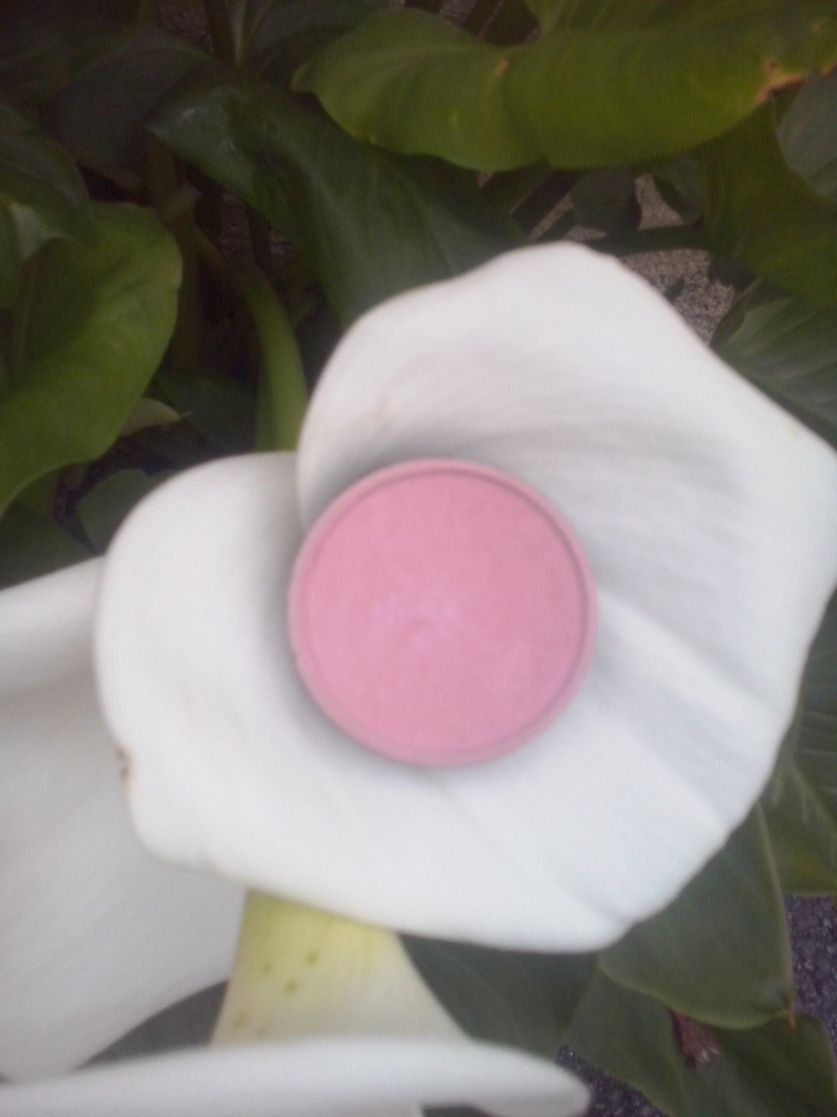 blush d'été........marionnaud & co