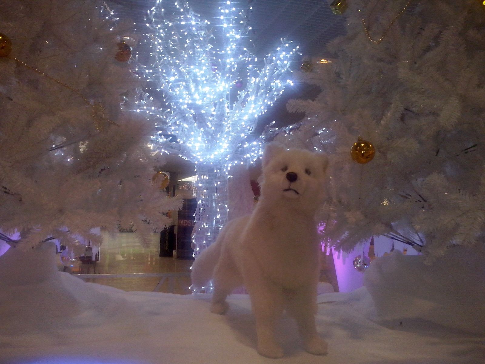 l'esprit de noël.........
