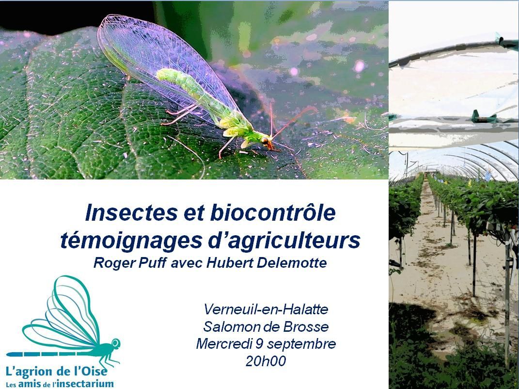 Les insectes et la protection biologique intégrée - L'Agrion de l'Oise
