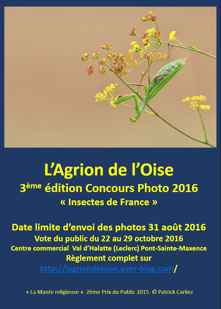 rencontre pont ste maxence