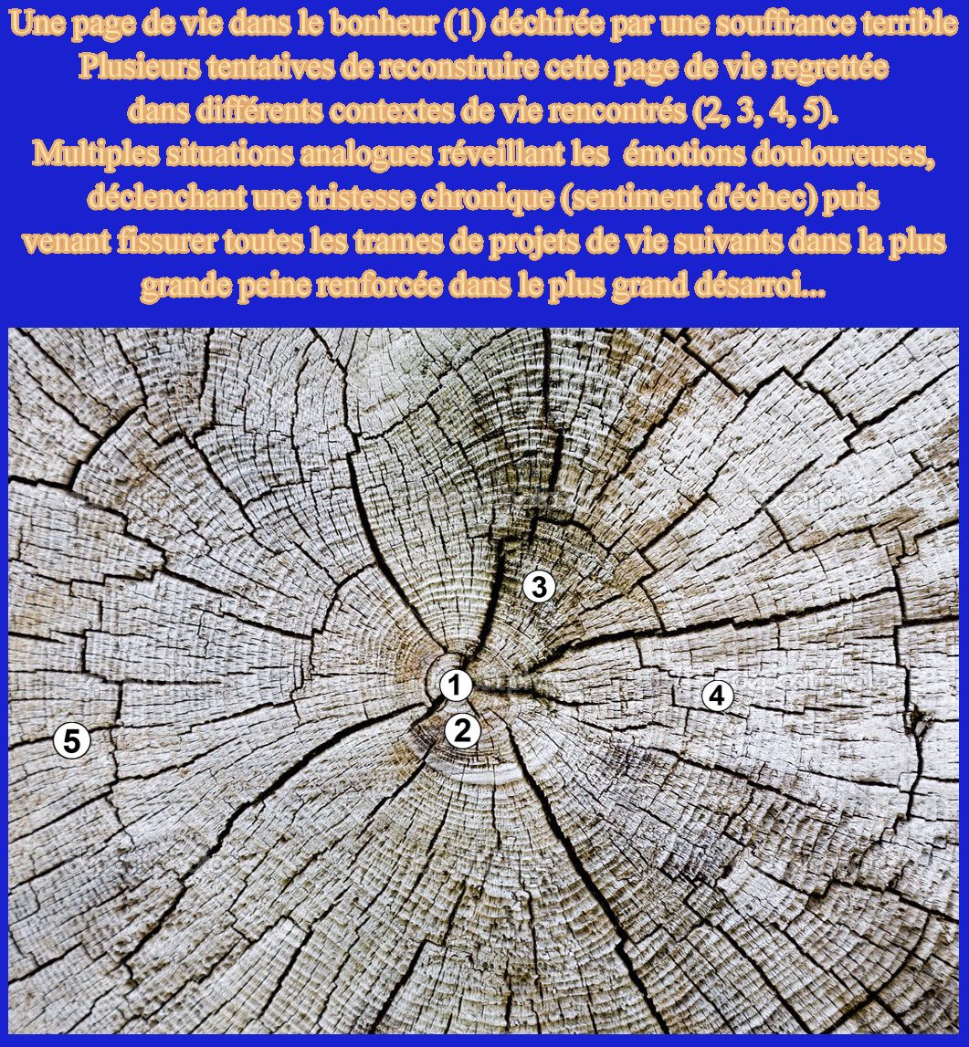 nostalgie rencontre sur internet