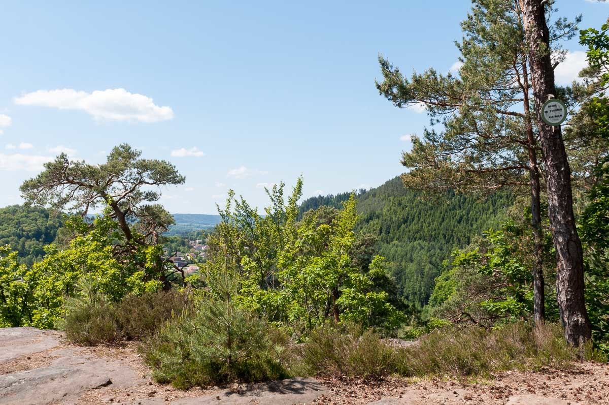 BRUYERES-VOSGES : retour au point de vue de la Roche de Fouchon