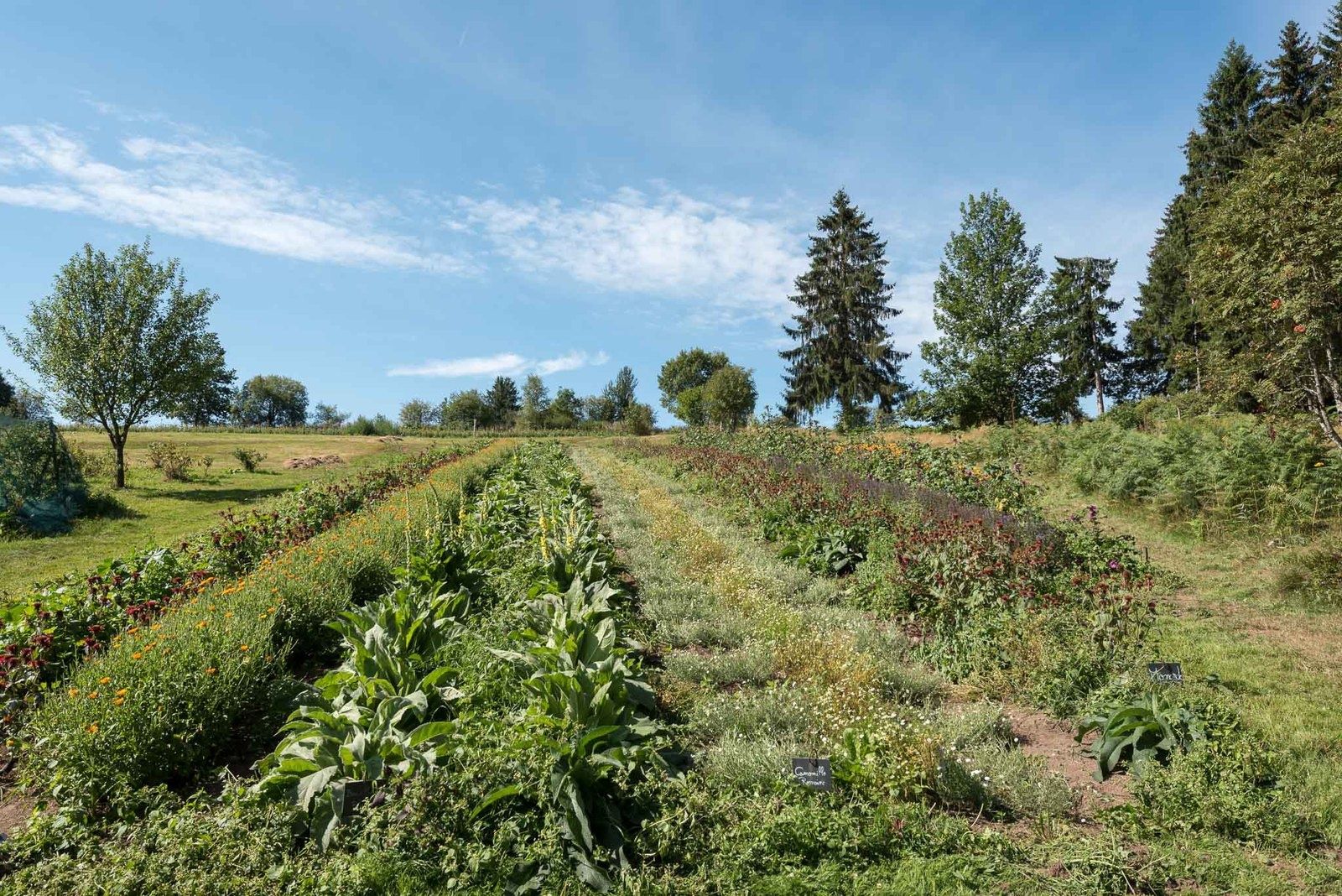 Album - Les Jardins de Bernadette - Le Haut-du-Tôt - Bruyères-Vosges