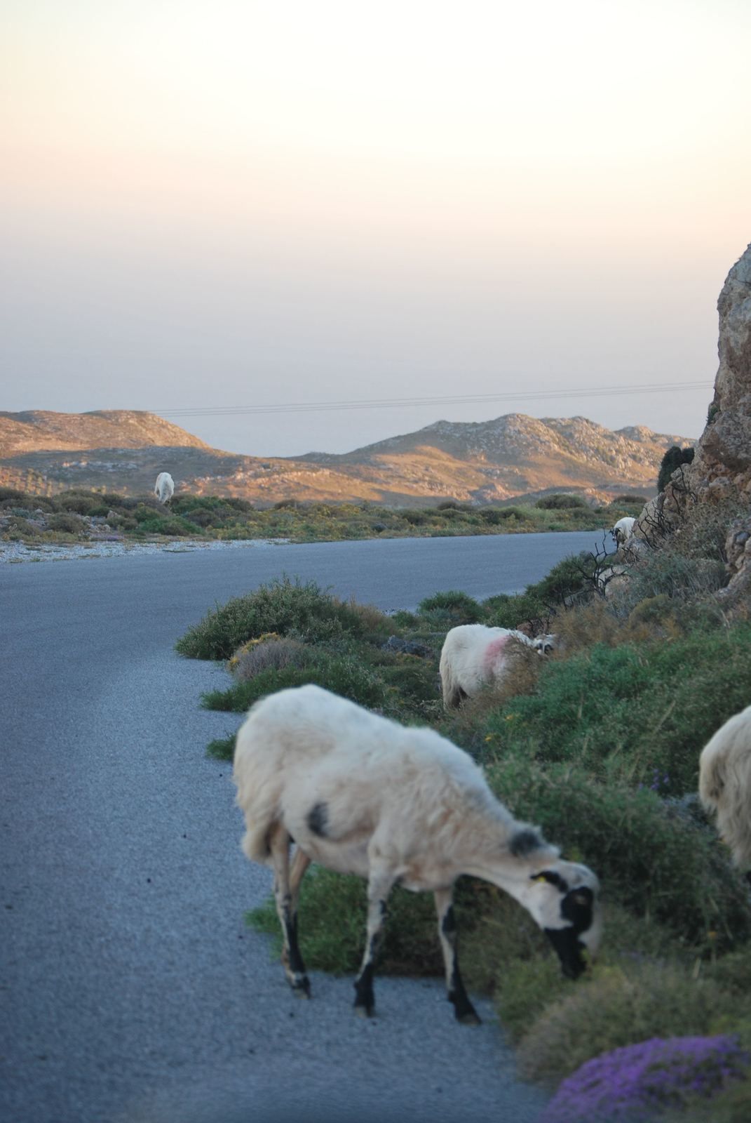 Voyage en famille en Crete - Aout 2015 - Paleochora
