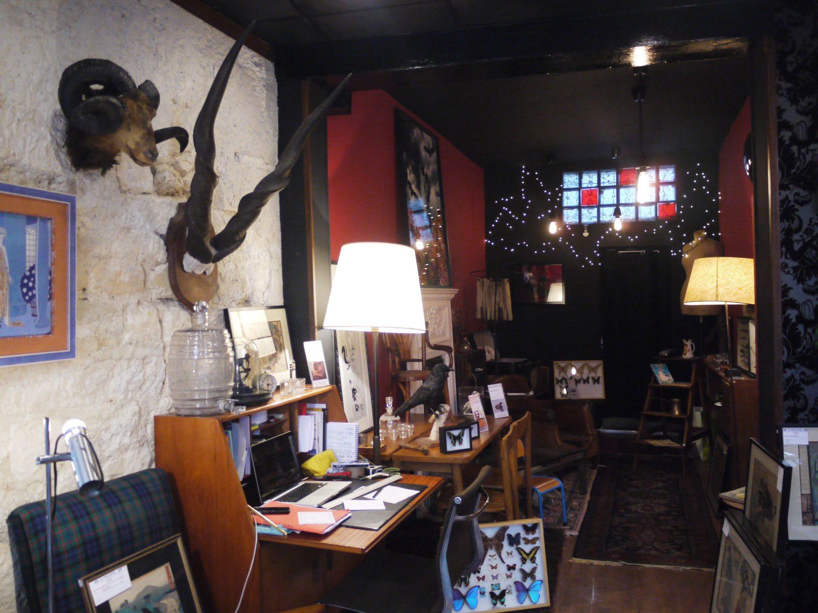 Intérieur de la boutique - Picture of Le Cabinet de Curiosites des  Batignolles, Paris - Tripadvisor