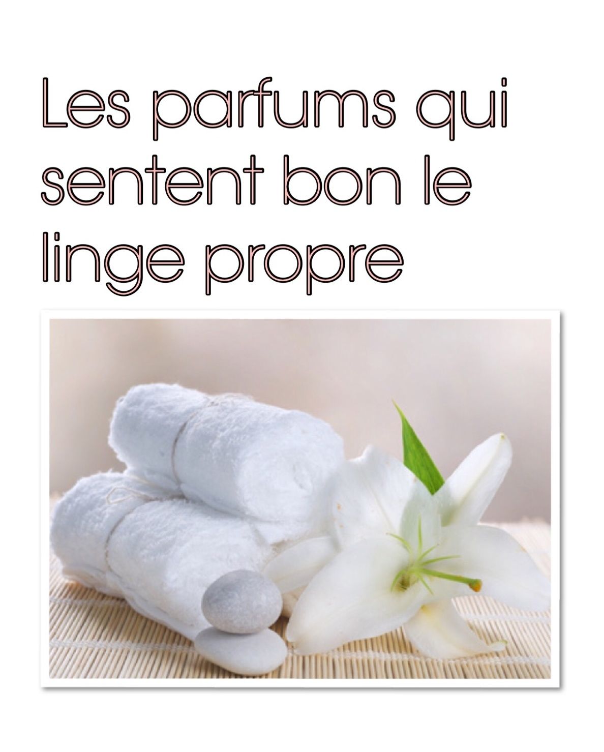 Les parfums qui sentent bon le linge propre - theprovinciale.com