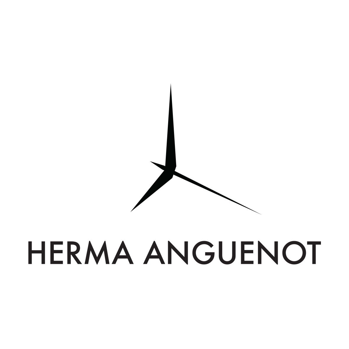 Montre herma anguenot shop