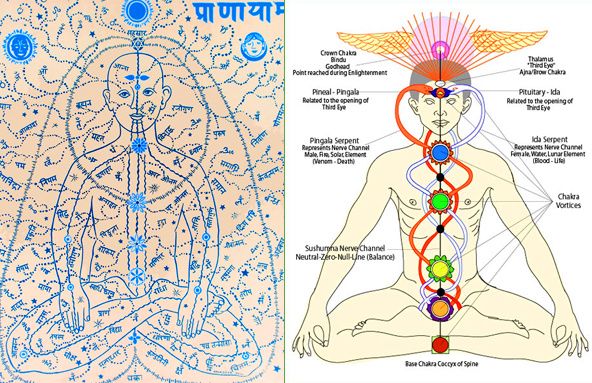 L'Energie Vitale Universelle, le Reiki circule...
