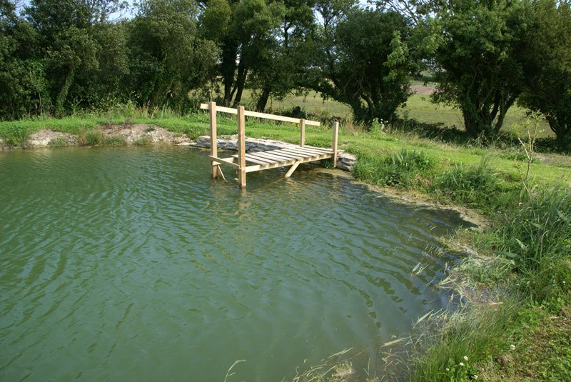 L'étang en 2013