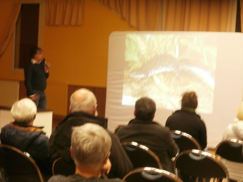 a la rencontre des amphibiens