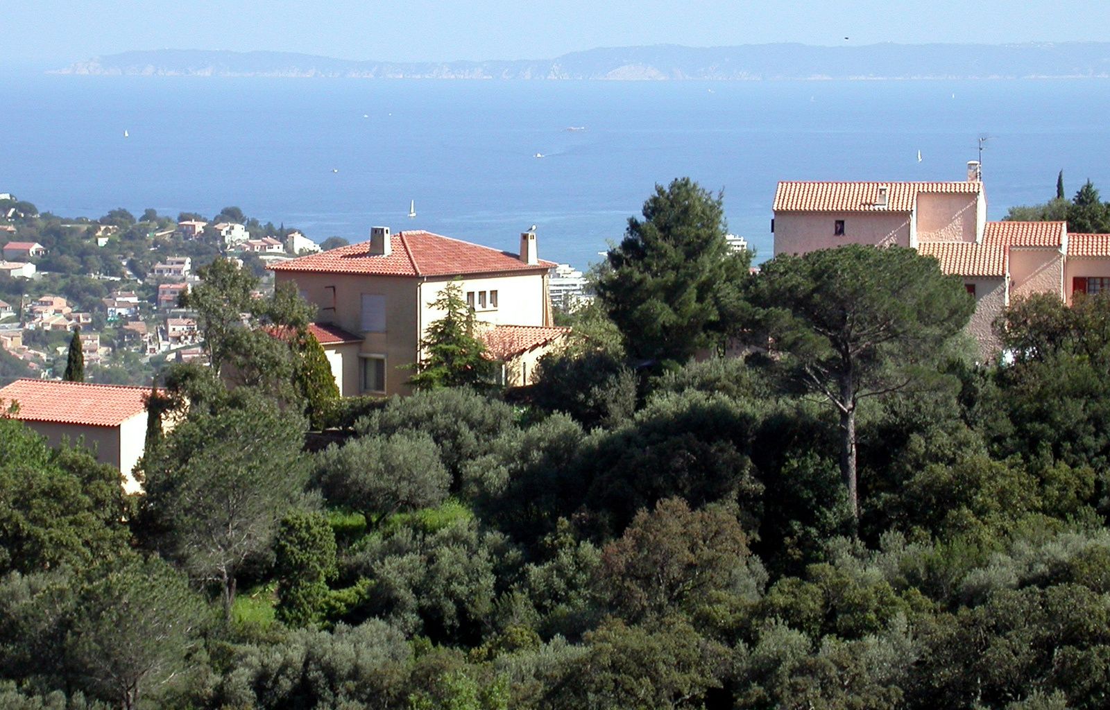 Bormes-les-Mimosas.